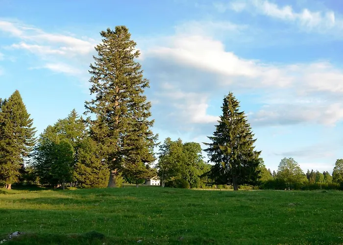 Panzió Clemens Ruben Mont-Soleil