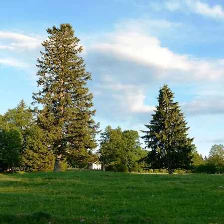 Panzió Clemens Ruben Mont-Soleil